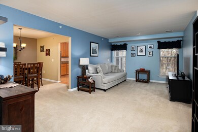 4650 Alcott Way unit 404, Owings Mills, MD 21117 - photo 6