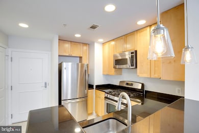 The Eclipse unit 427W, Arlington, VA 22202 - photo 7