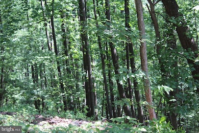 1507, 1505, 1503, 15 Summit Dr, Bull Run Mountain Estates, VA 20169 - photo 5