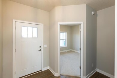 2048 Tamarack Rd, Chaska, MN 55318 - photo 5