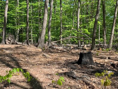 63 Turner Rd, Jaffrey, NH 03452 - photo 3