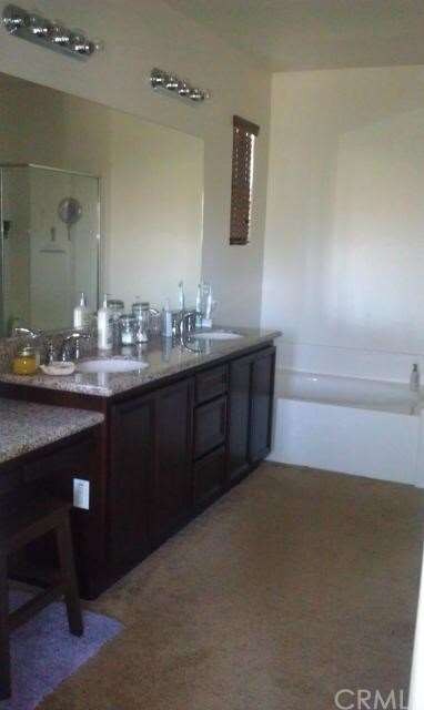 MASTER BATHROOM WITH DUAL SINKS AND VANITY, LARGE 