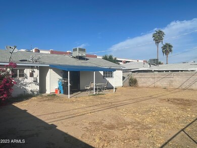 Large Backyard