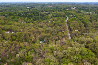 Tbd Lakeway, Swan Township, MO 65680 - photo 7