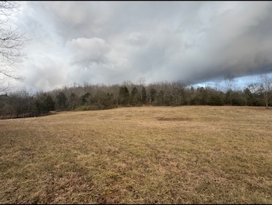 502 Rogues Fork Rd, Westmoreland, TN 37022 - photo 2