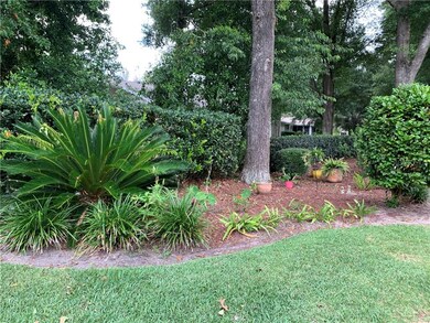 Back yard landscape