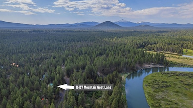 89-web-or-mls-16167 Mountain Goat-87 wit