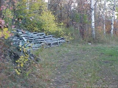 Land/Lot.