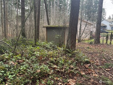 18145 Stony Ct SE, Yelm, WA 98597 - photo 2