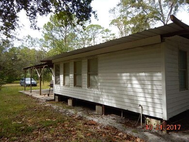 210 Main St, Steinhatchee, FL 32359 - photo 4