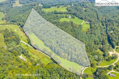 TBD Dell Coffey Rd, Boone, NC 28607 - photo 6