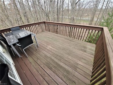 46 Elm Creek Way unit 124, Aurora, OH 44202 - photo 5