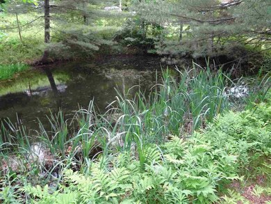 67 High St, Plainfield, NH 03781 - photo 7