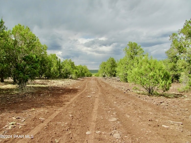 11189 Huckleberry Rd, Ash Fork, AZ 86320 - photo 5
