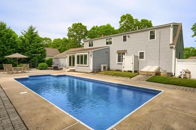 15_Backyard_IMG_7188