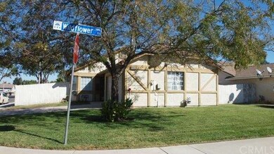 Large shade tree in front yard