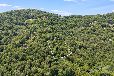 16 Mountain Gait Dr unit 16, Mars Hill, NC 28754 - photo 7