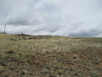 129 Ouray Trail, Como, CO 80432 - photo 5