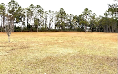 21828 Florida 247, Lake City, FL 32024 - photo 7