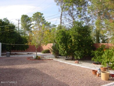 Backyard yard
