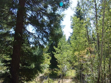 40 Rehn Loop unit 4, Cascade, ID 83611 - photo 3