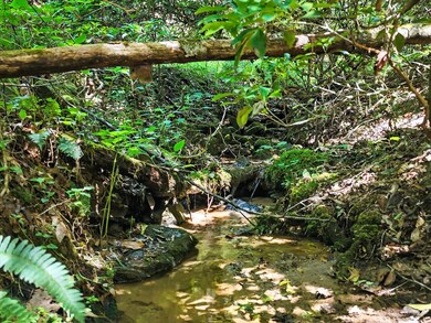 245+/-AC Gates Chapel Rd, Ellijay, GA 30540 - photo 7