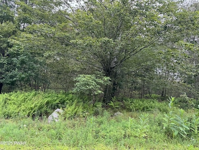 Lot #18 Split Rock Rd, Newfoundland, PA 18445 - photo 4
