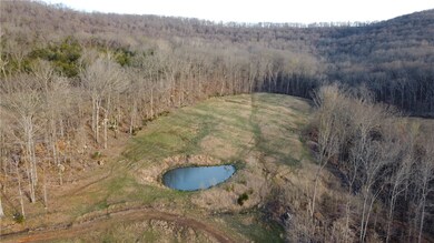 157 Acres Hazel Valley Rd, Fayetteville, AR 72701 - photo 4