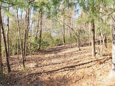 000 Didrikson Way unit 244, Hendersonville, NC 28739 - photo 7