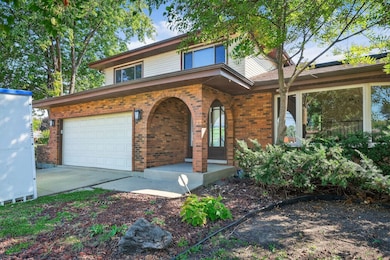 7501 Cambridge Rd, Darien, IL 60561 - photo 3