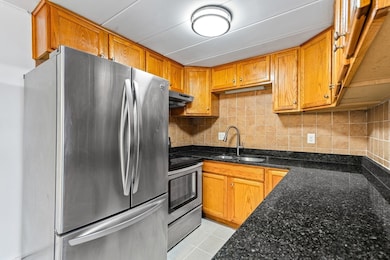 20 Nelson Dr unit 3A, Randolph, MA 02368 - photo 6