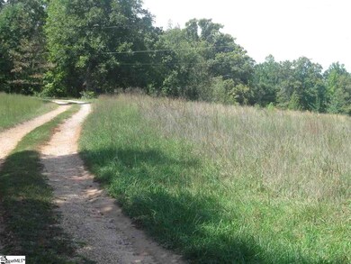 1245 New McElhaney Rd unit 10063 Old White Hors, Travelers Rest, SC 29690 - photo 5