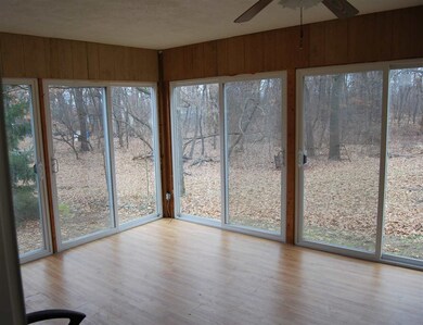 What a view of the woods