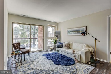 2303 Greenery Ln unit 1024, Silver Spring, MD 20906 - photo 5