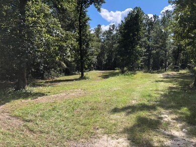 13 Steele Ct, Crawfordville, FL 32327 - photo 3