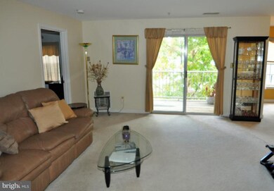 9121 Gracious End Ct unit 203, Columbia, MD 21046 - photo 2