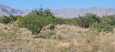 Dragoon mt view from property to West