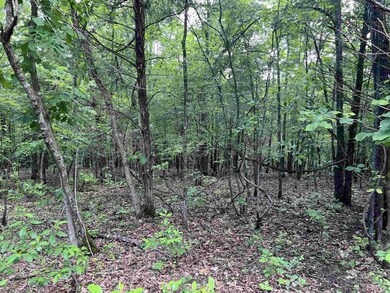 0 Meadow Creek Dr unit 24016886, Harrison, AR 72601 - photo 4