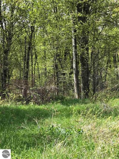 0 Rhodes Rd, Sherman Township, MI 48748 - photo 2