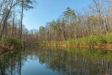 Forester Overlook Dr.