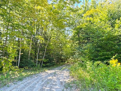 5146 Michigan 123 unit 5146, Eckerman, MI 49728 - photo 3