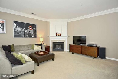 1714 Osage St unit 302, Alexandria, VA 22302 - photo 4