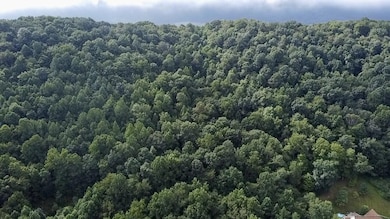 63 Fairway View Dr, Peterstown, WV 24963 - photo 2