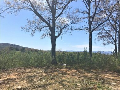 00 Chapman Dr, Hendersonville, NC 28792 - photo 2