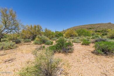 Covey Trail
