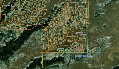 141 Overland Way, Oak Creek, CO 80467 - photo 3