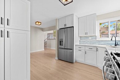 462 N Highland Ave, Elmhurst, IL 60126 - photo 7