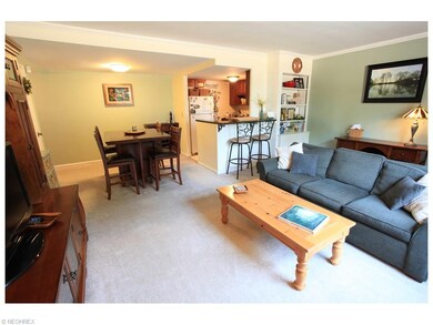 Carpeting in living/dining space