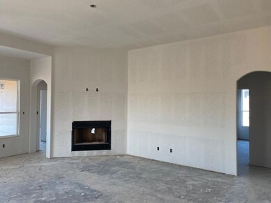 1118 County Road 4797, Boyd, TX 76023 - photo 4