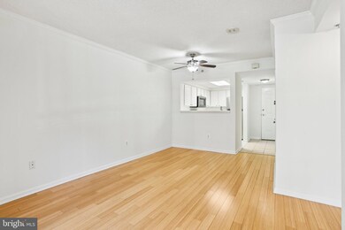 3835 9th St N unit 108W, Arlington, VA 22203 - photo 7